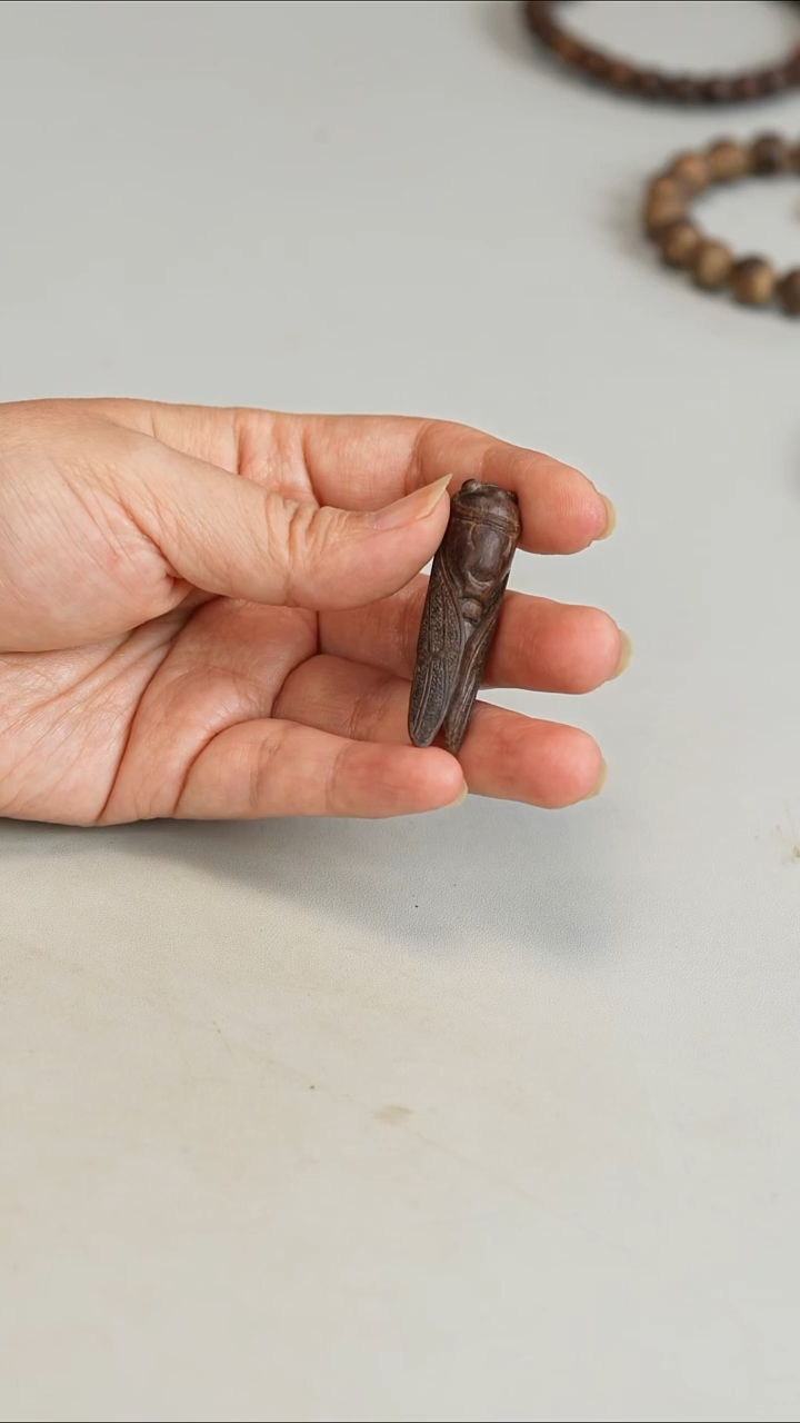 沉香沉香碎屑西马熟结沉水金蝉3.4g