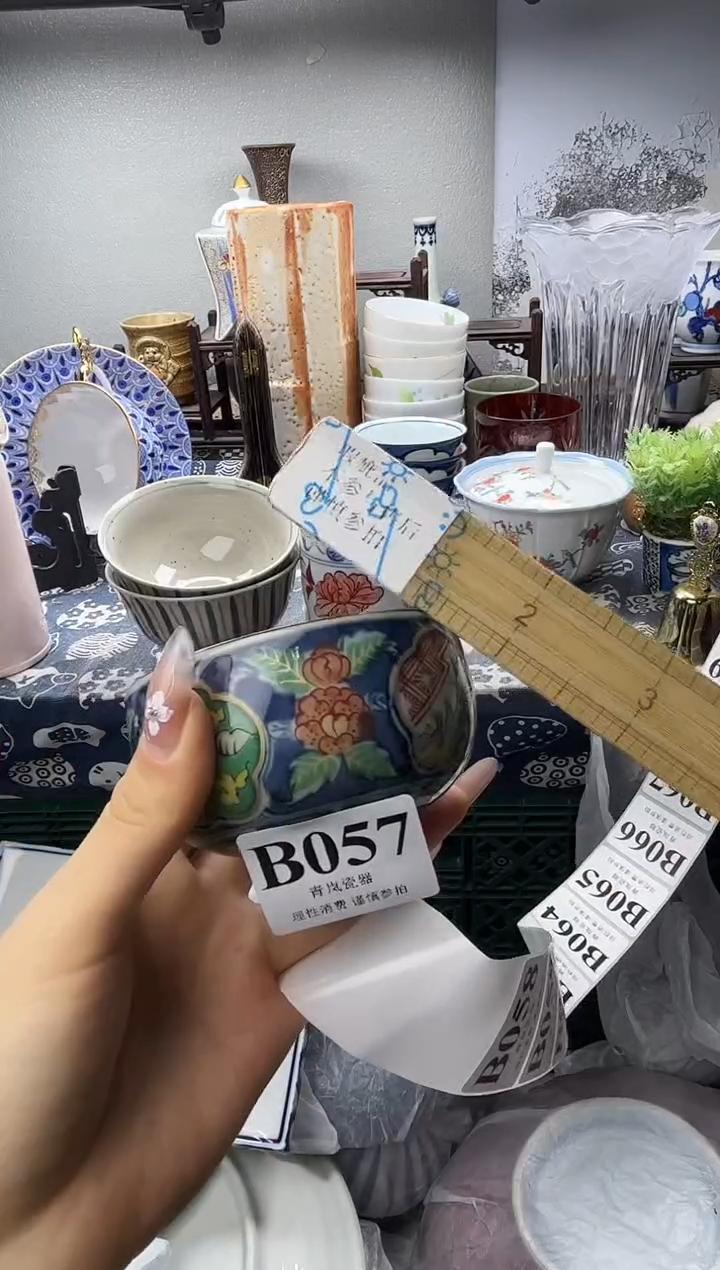 瓷片达**氏  B057