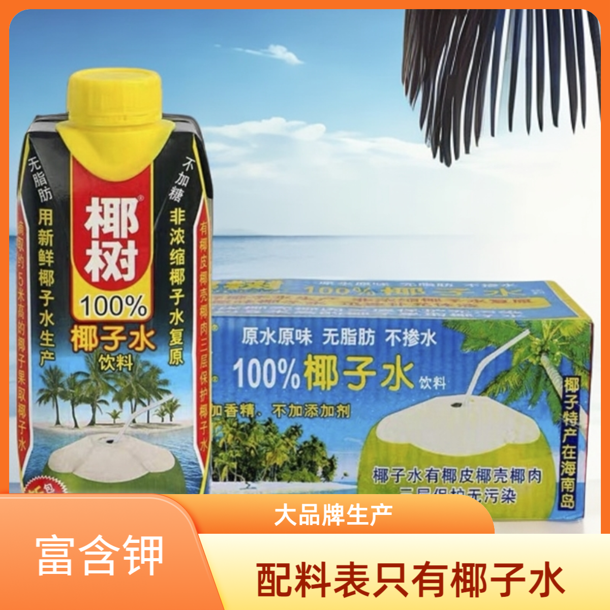 椰树正宗椰子水盒装饮料天然椰汁水新鲜海南果汁饮品纯椰子水