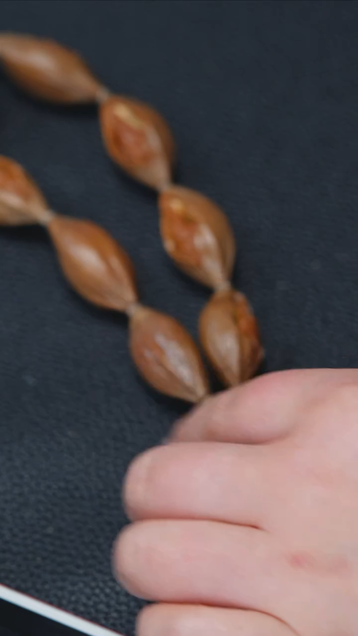 【闪购商品】橄榄核手串/手链闪购商品】 橄榄核