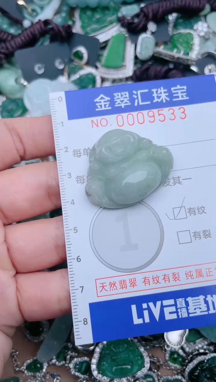 【闪购商品】翡翠颈饰未镶嵌9533...1