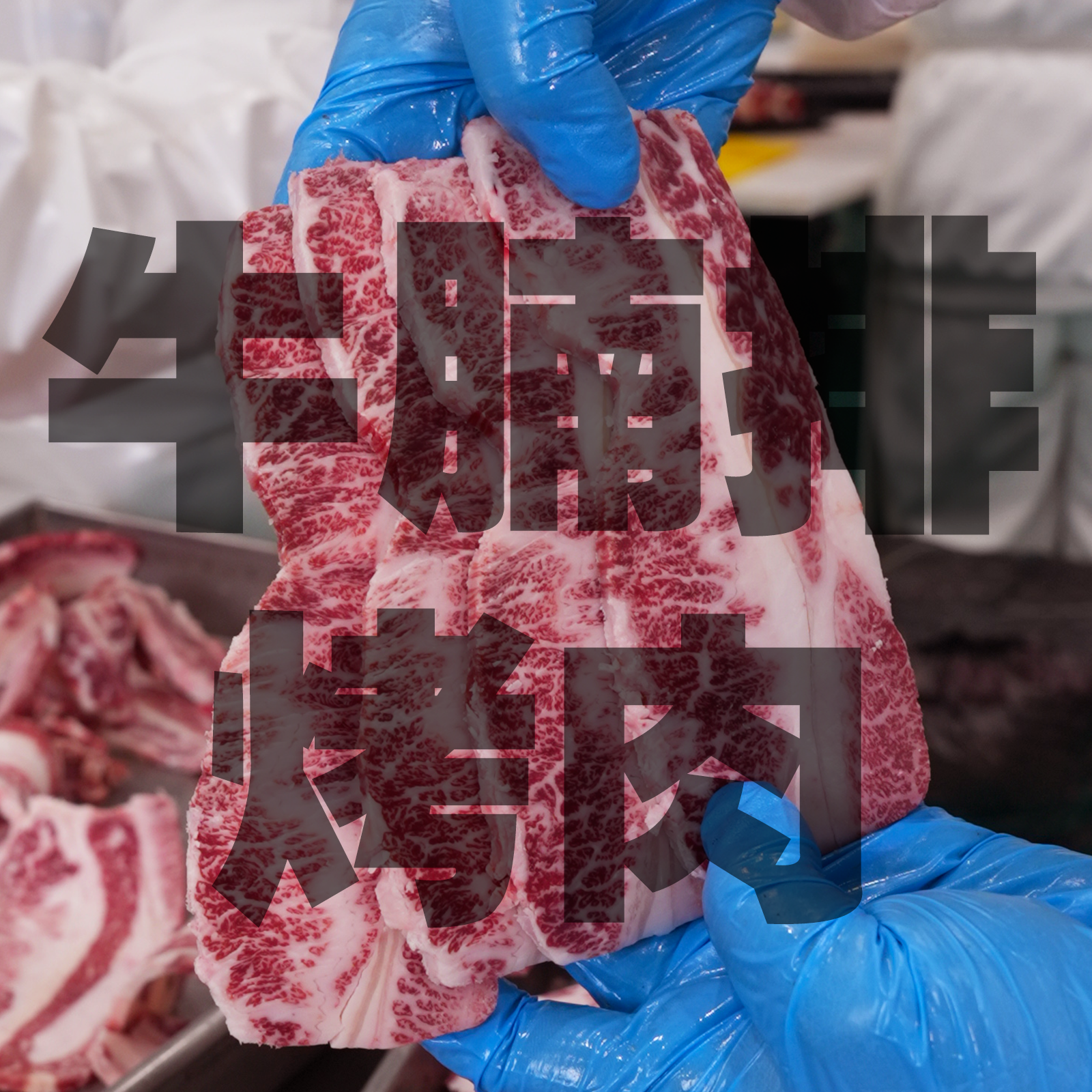 【A4牛腩排烤肉】国产和牛原切雪花牛肉M9卡卢比后胸烤肉