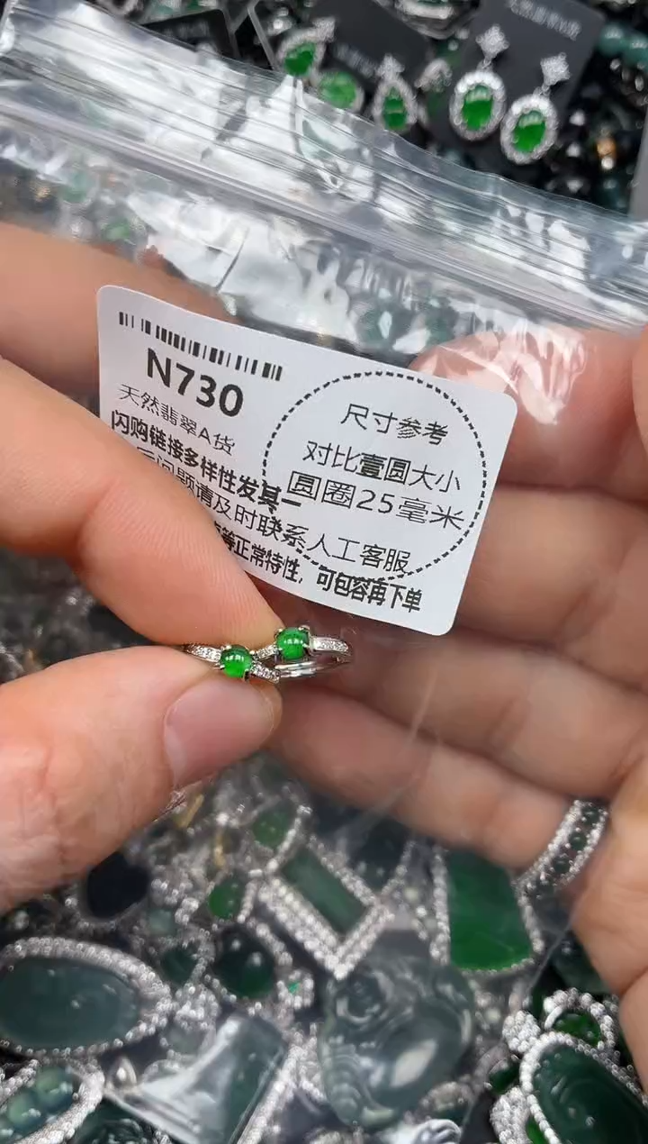 颈饰未镶嵌翡翠N730耳扣