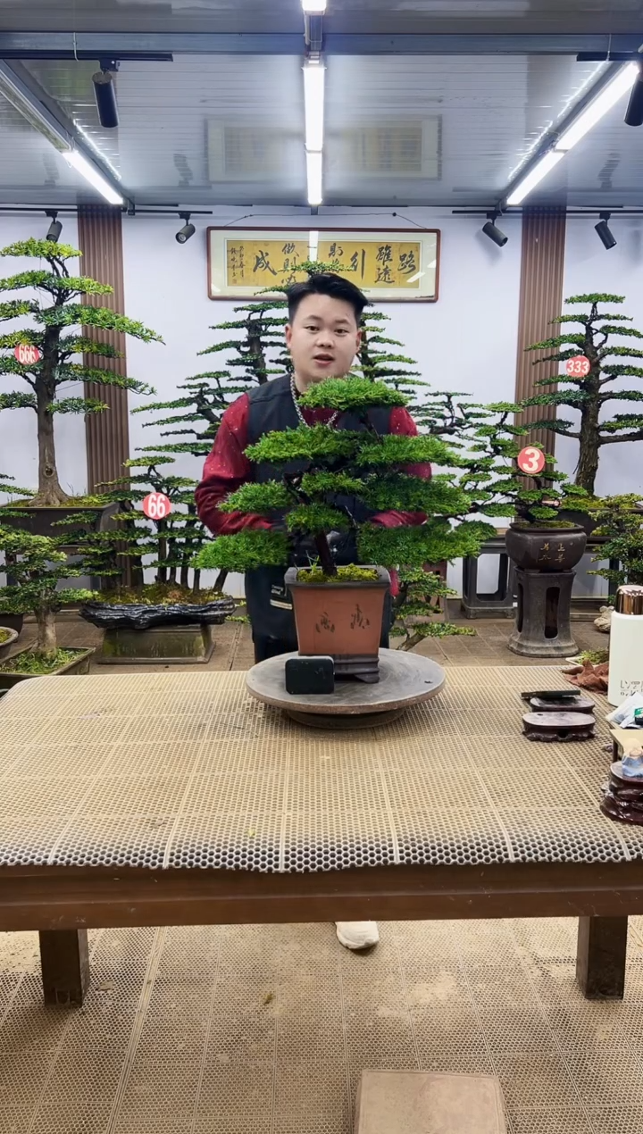 【闪购商品】000000000