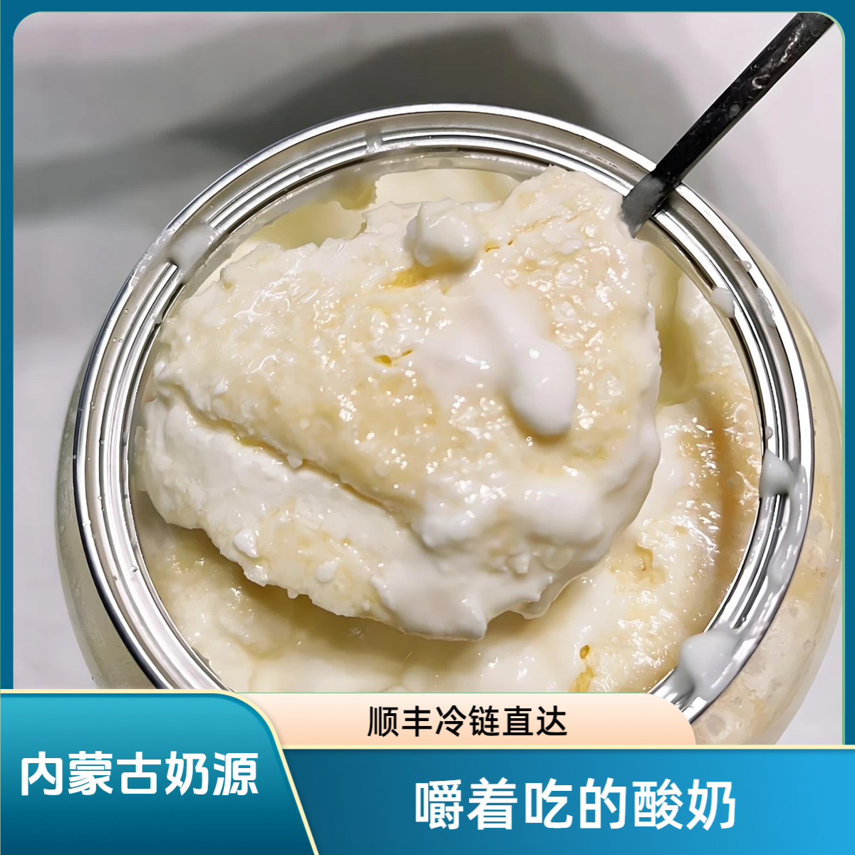 【顺丰发货】内蒙特产奶皮子酸奶经典原味老酸奶大罐500g网红饮品