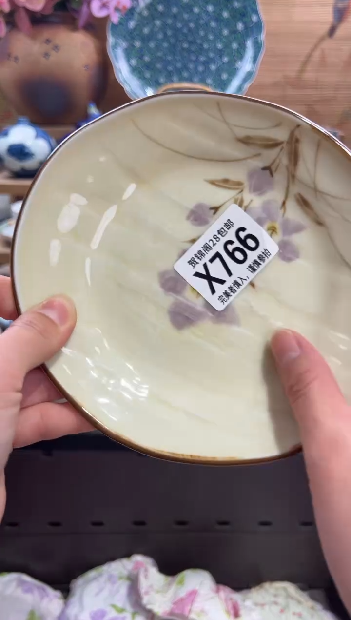 瓷片飞*      X766