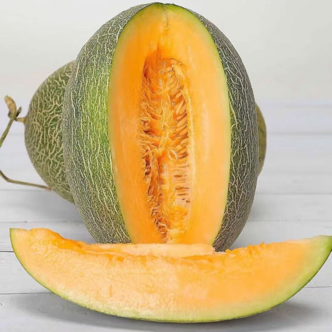 【脆甜爽口】海南哈密瓜新鲜甜瓜晓蜜25头茬瓜脆甜多汁顺丰次日达