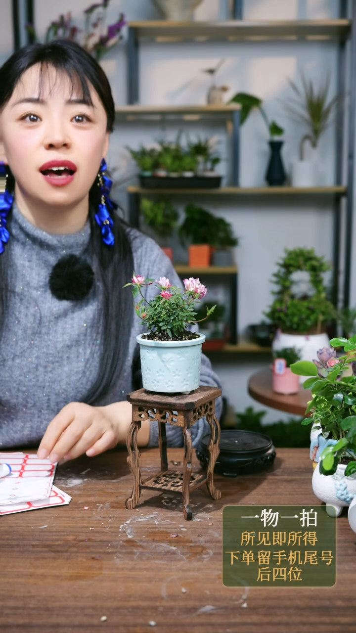 【闪购商品】94--8728蓝月季