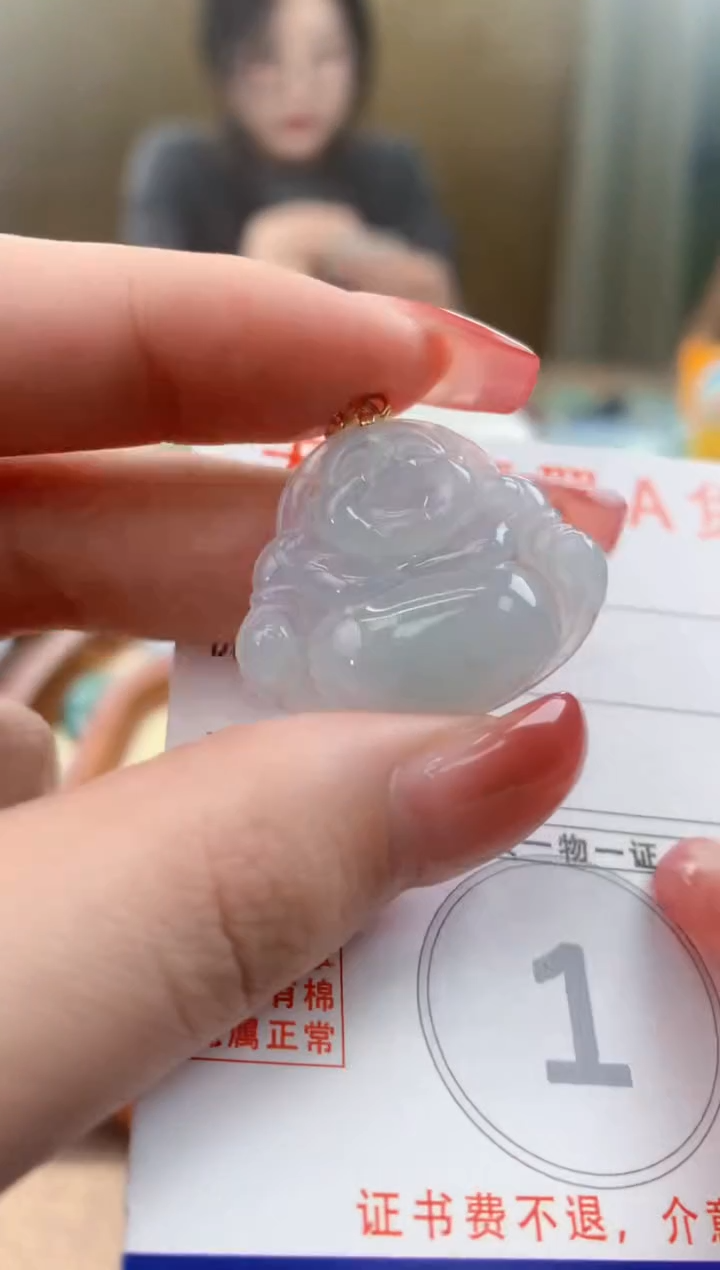 颈饰未镶嵌翡翠天然A货翡翠挂件
