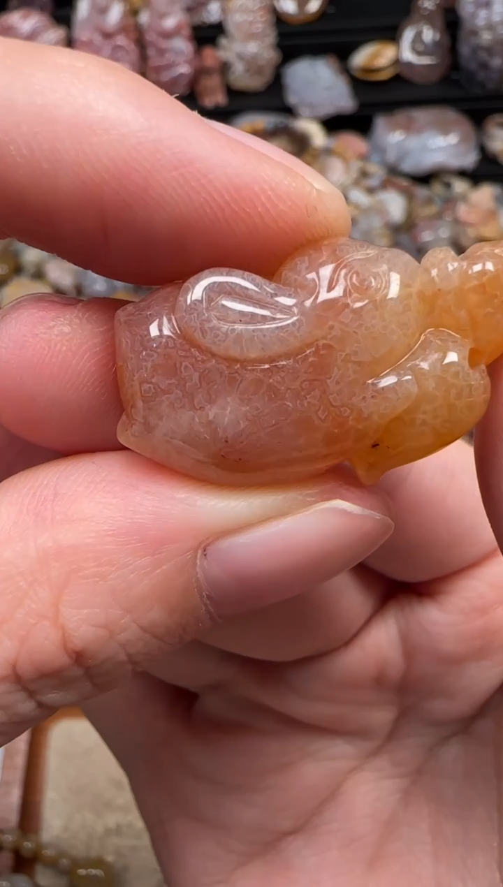 颈饰未镶嵌硅化珊瑚（珊瑚玉）684