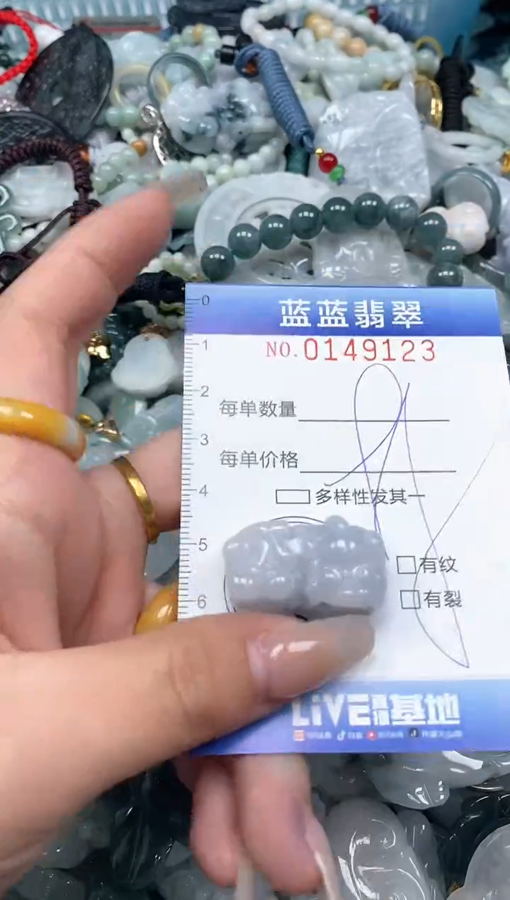 【闪购商品】翡翠颈饰未镶嵌闪购0149123多样性发其一