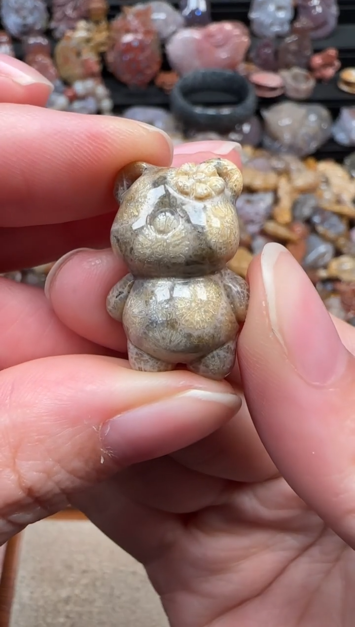 颈饰未镶嵌硅化珊瑚（珊瑚玉）256