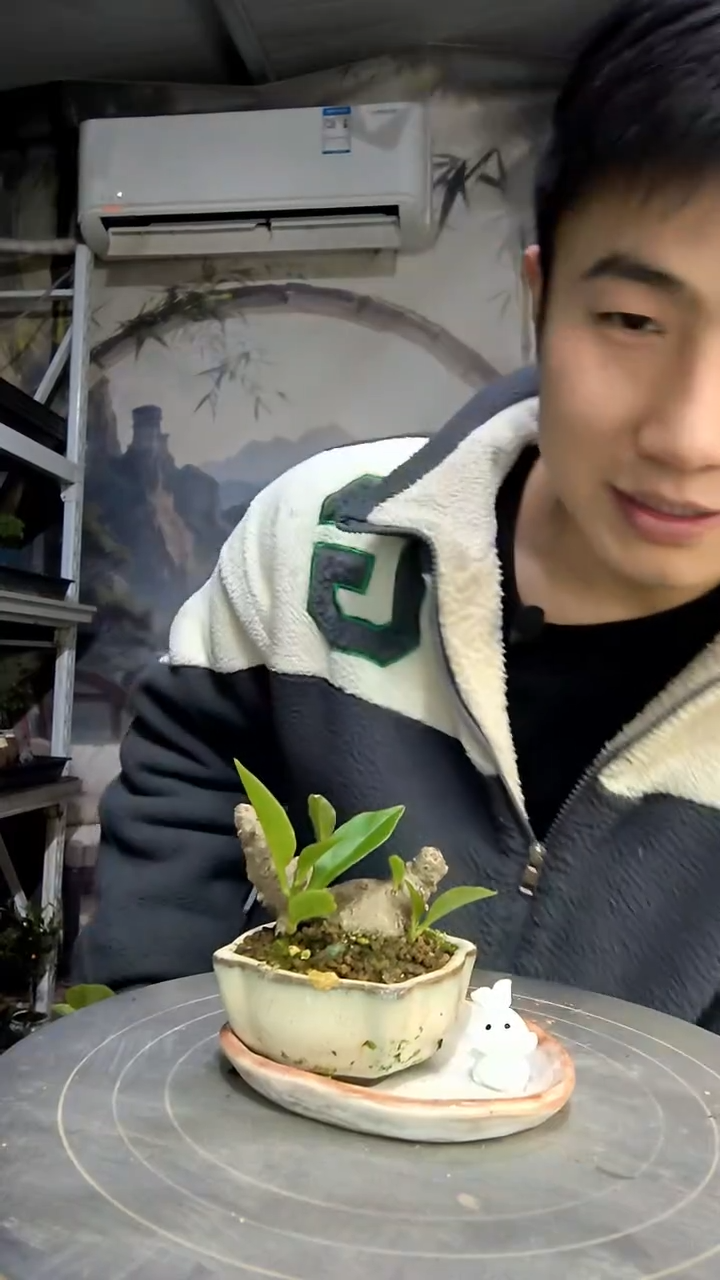 尔*中青园艺一物一拍花156