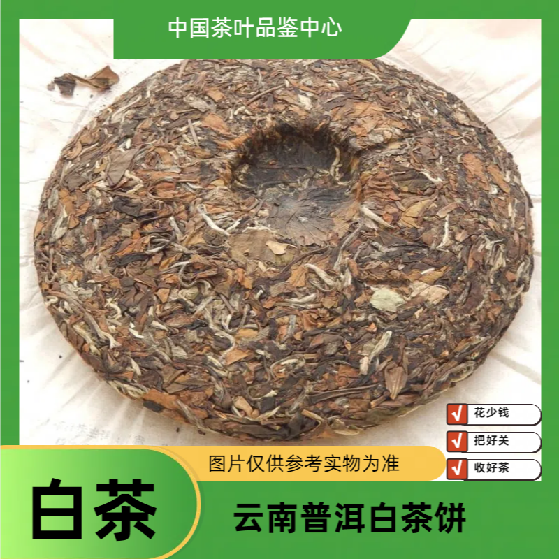 品鉴好茶|白茶饼