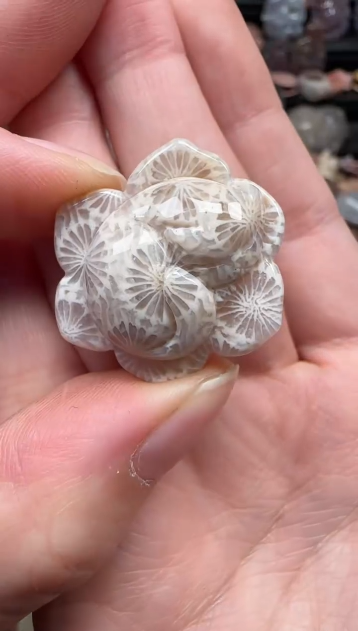 颈饰未镶嵌硅化珊瑚（珊瑚玉）694