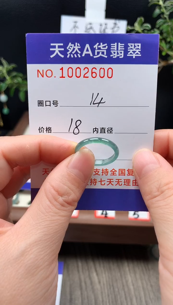 未镶嵌戒指翡翠14#