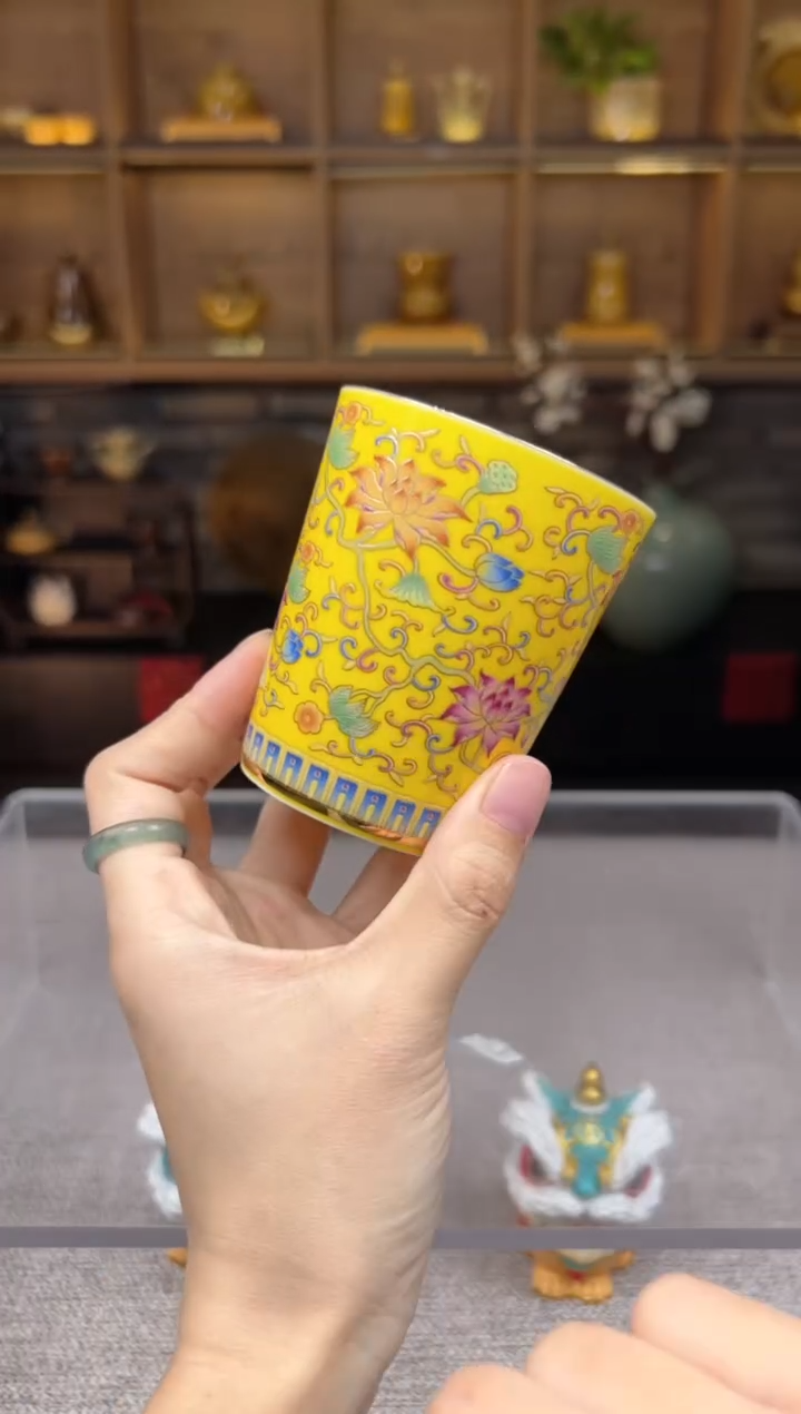 【闪购商品】无尽藏 专属福利单 VVV 