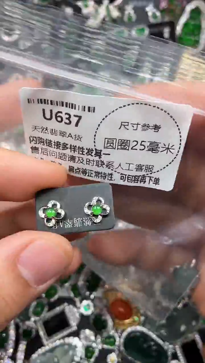 颈饰未镶嵌翡翠U637耳钉