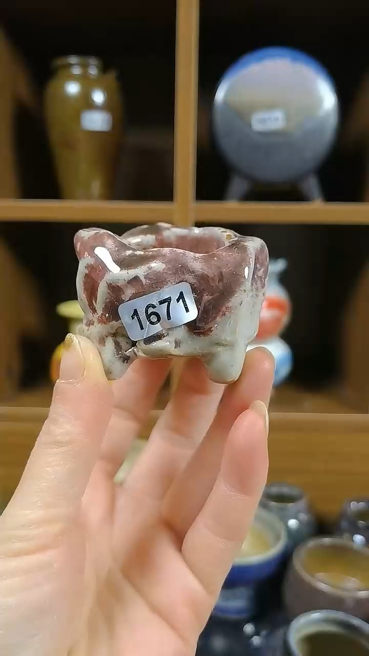 【闪购商品】红陶1671