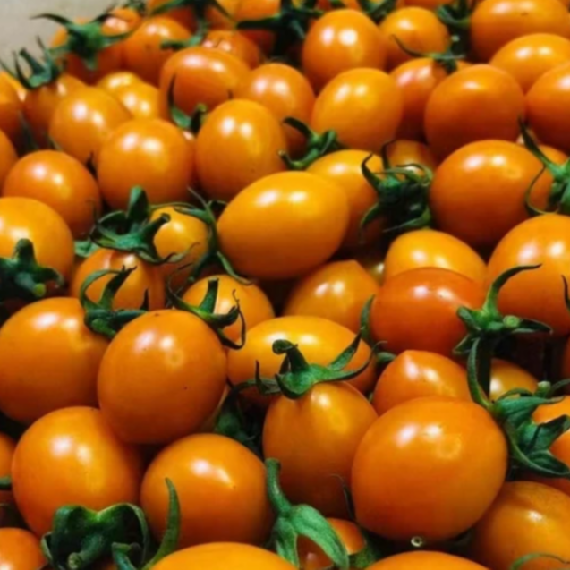 黄珍珠小柿子3斤净果 【宇哥果仓】