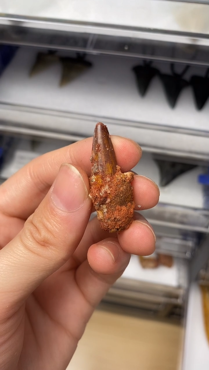 精美摆件创意礼物家居配饰新年礼物个人收藏