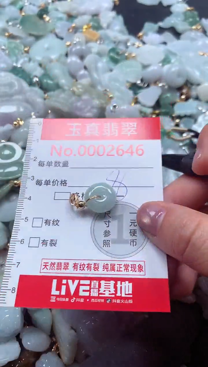 吊坠(不含链)未镶嵌翡翠2646