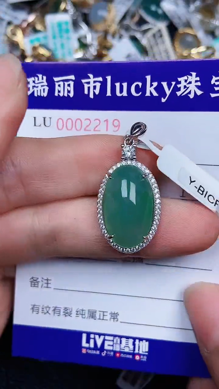 颈饰银S925镶嵌翡翠2219