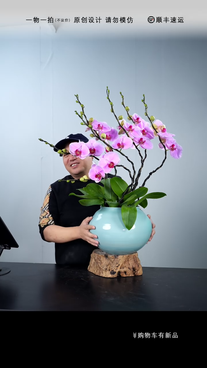 【闪购商品】110号链接【一物一拍】艺术盆景