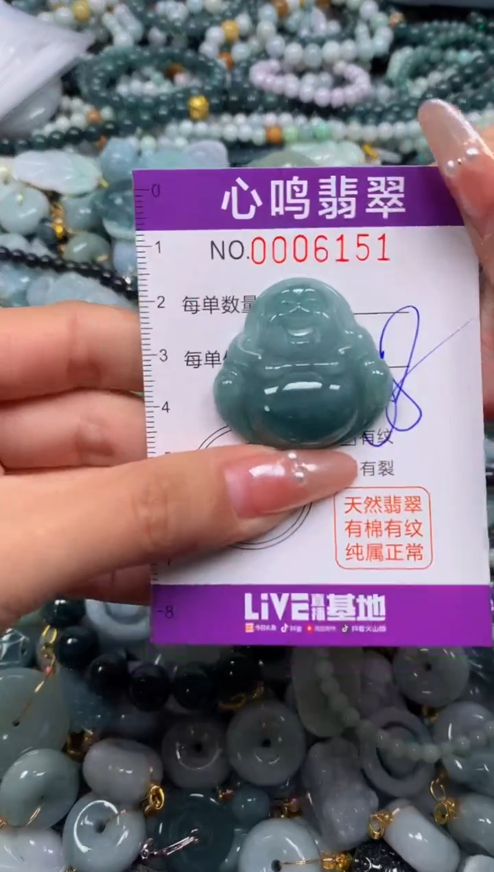 颈饰未镶嵌翡翠闪购006151