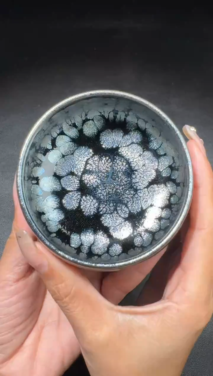 茶盏阙梅娇黑牡丹173