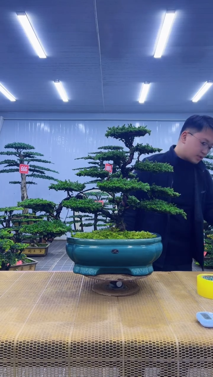 无花朵0000000000000000