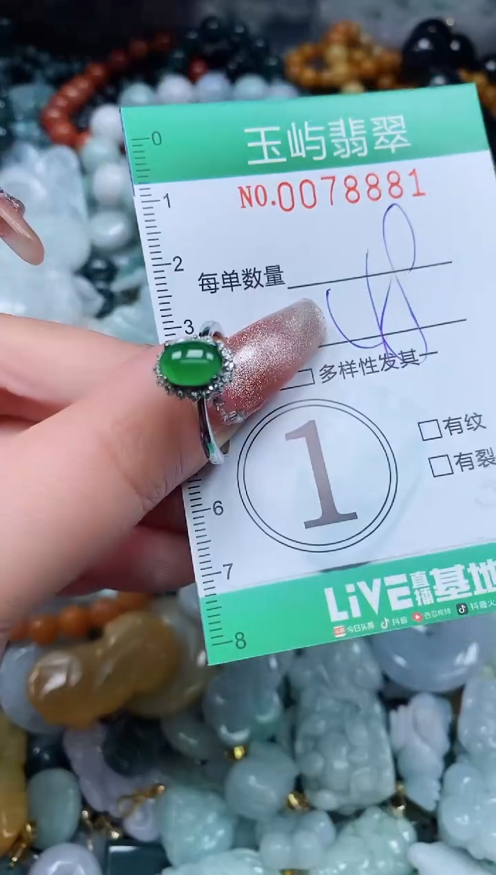 【闪购商品】翡翠颈饰未镶嵌闪购0078881