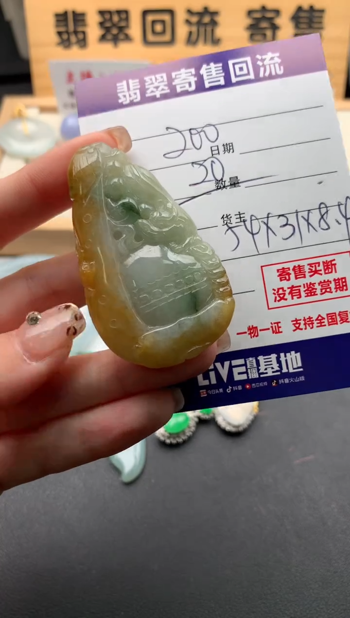 翡翠未镶嵌颈饰10128808