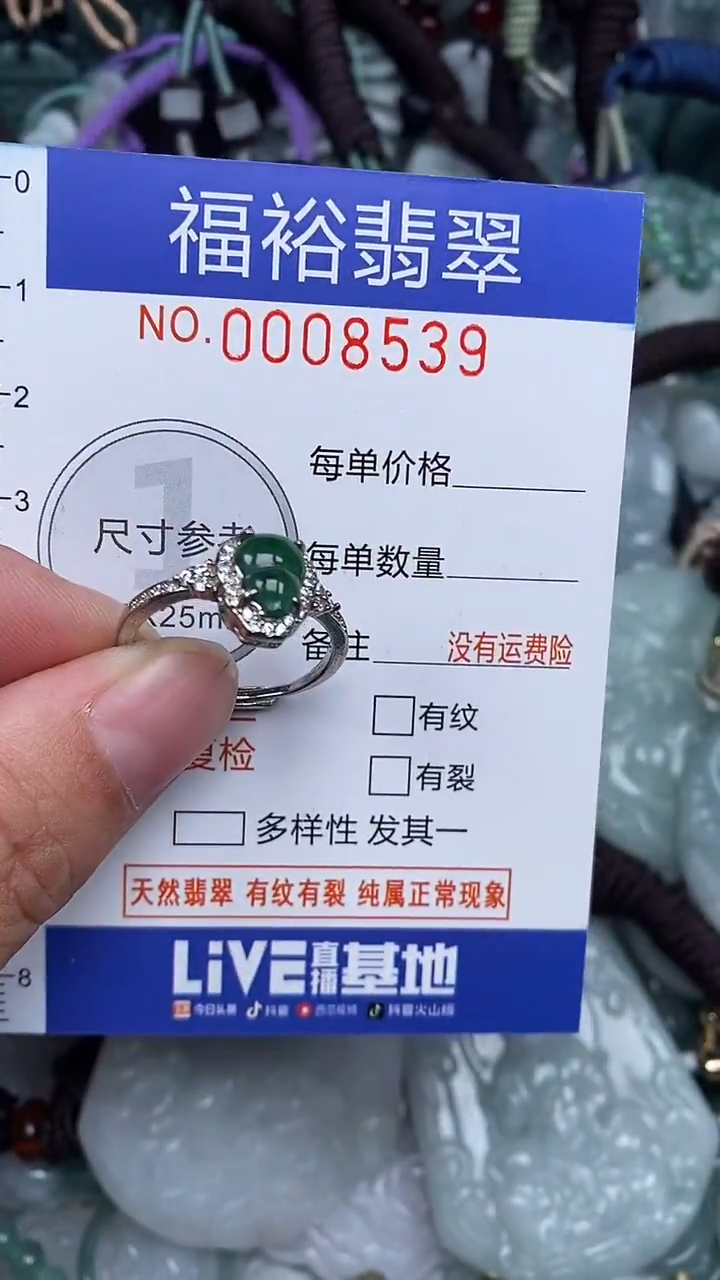 颈饰未镶嵌翡翠...0008539