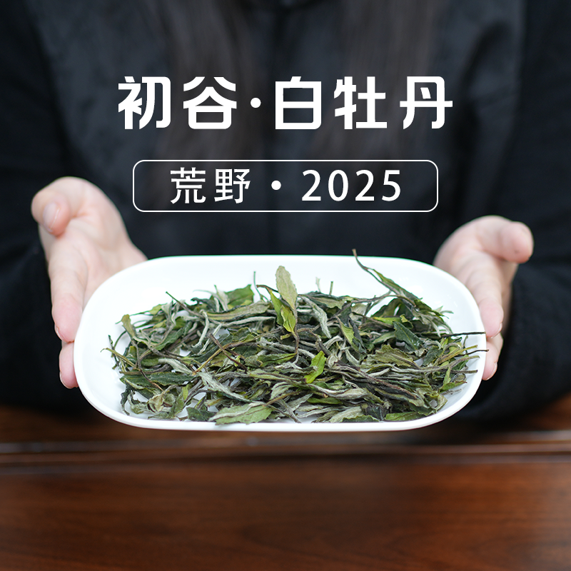 予晖·初谷2025荒野白牡丹福鼎白茶（惠享装）兰花香白牡丹正宗白茶