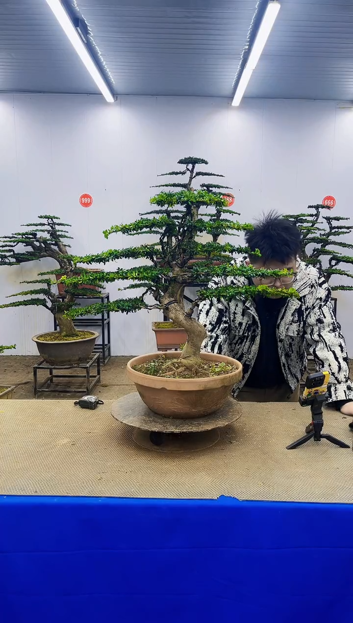 完全开放幻**客一物一拍，所见即所得