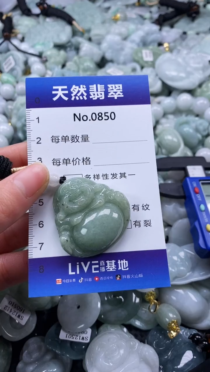 【闪购商品】翡翠颈饰未镶嵌缅甸A货翡翠0850