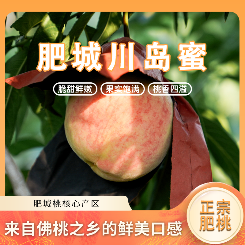 【正宗肥桃】6个装 川岛蜜 净重3斤 顺丰 邮政空运随机发货 包邮