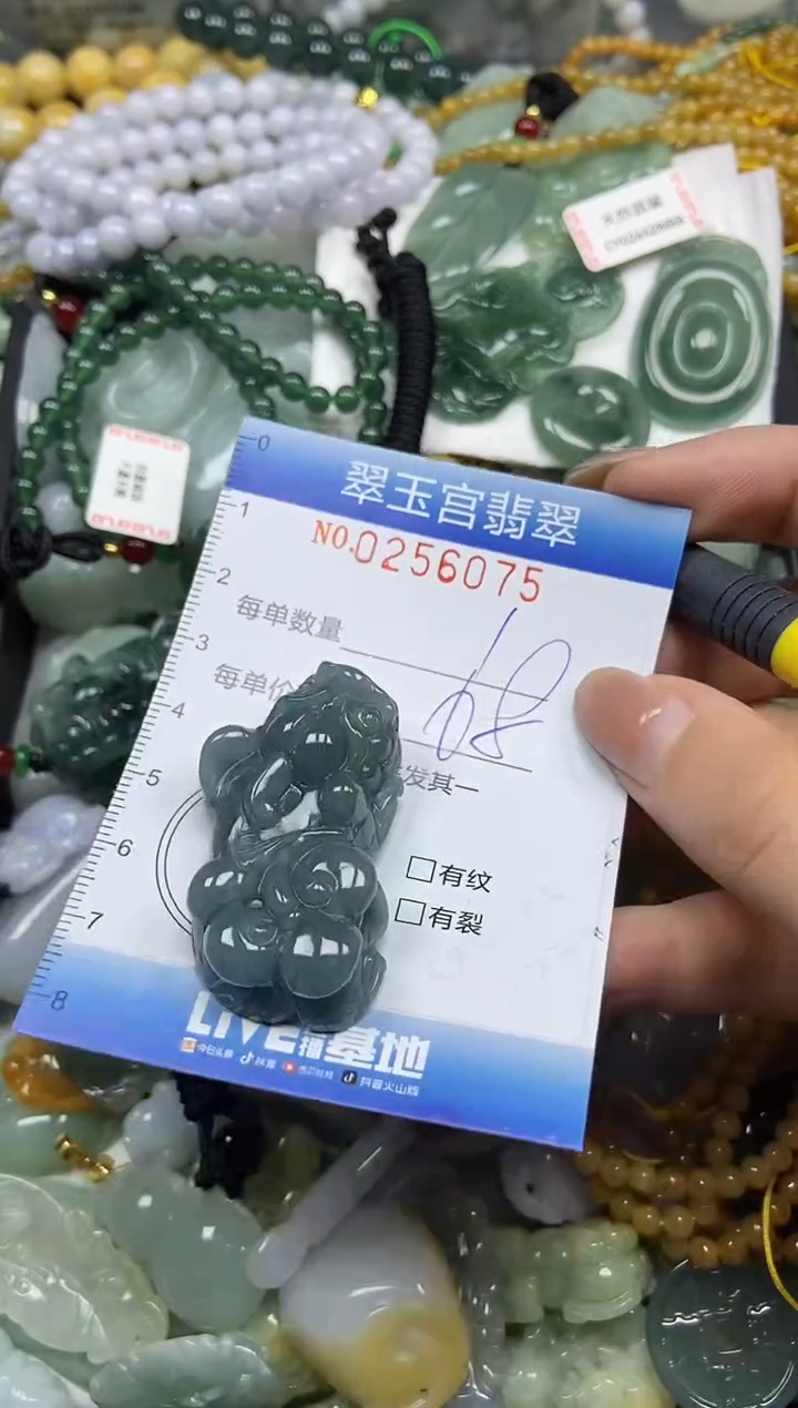 颈饰未镶嵌翡翠闪购C0256075