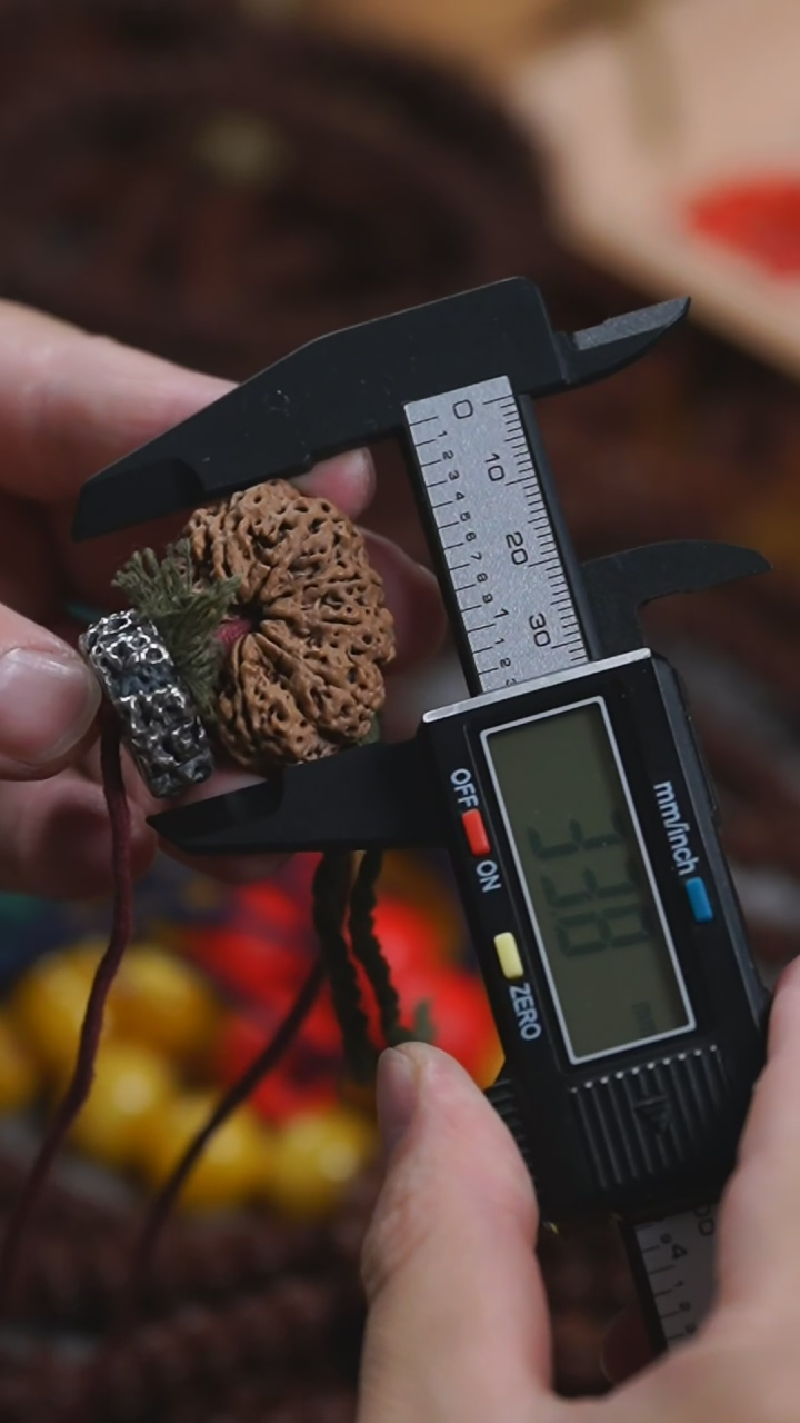 【闪购商品】金刚菩提吊坠玺呈枝蓝•多瓣单颗10瓣 34mm