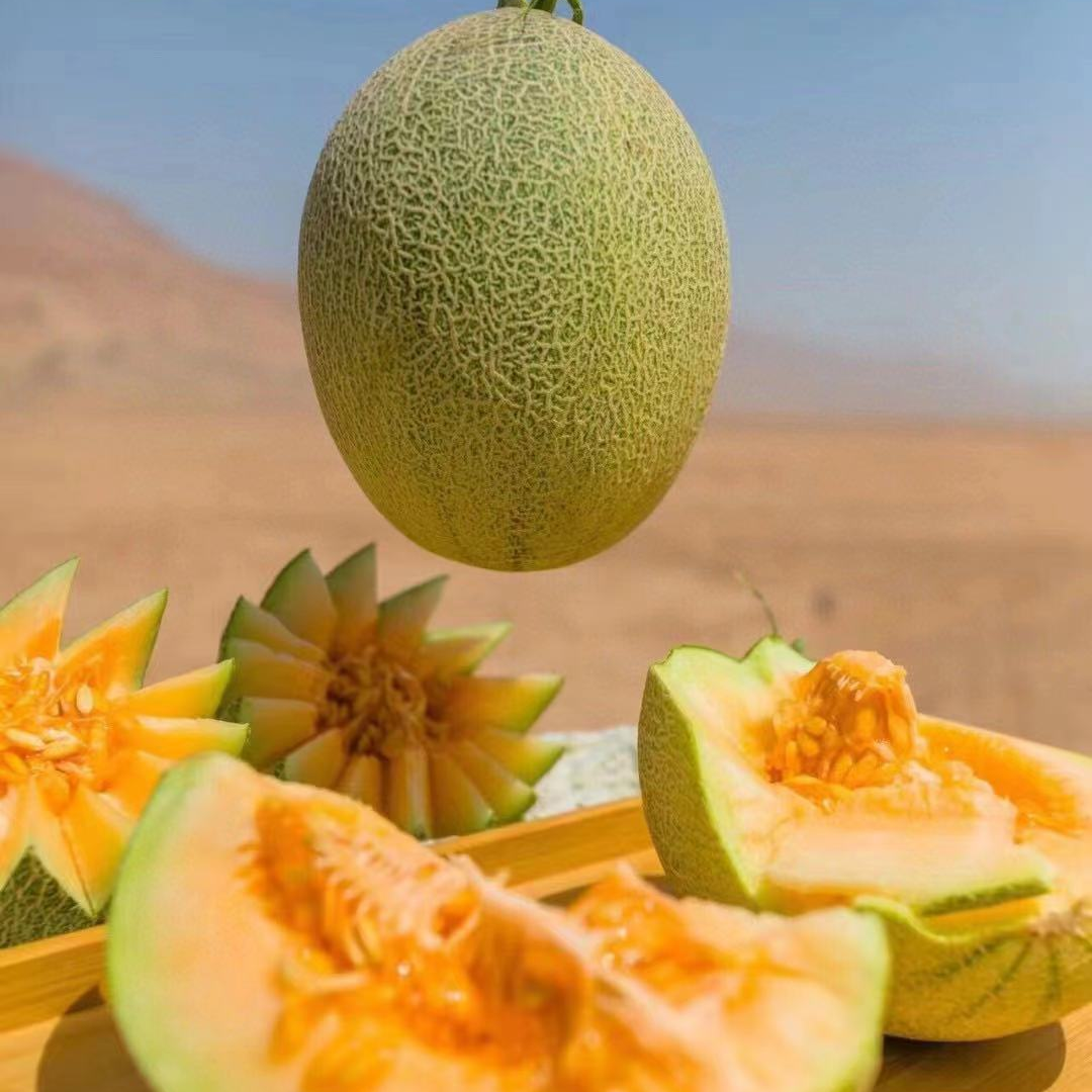 三拼甜瓜 包邮 新鲜火焰蜜瓜+金色年华+冰淇淋蜜瓜 单位福利团购