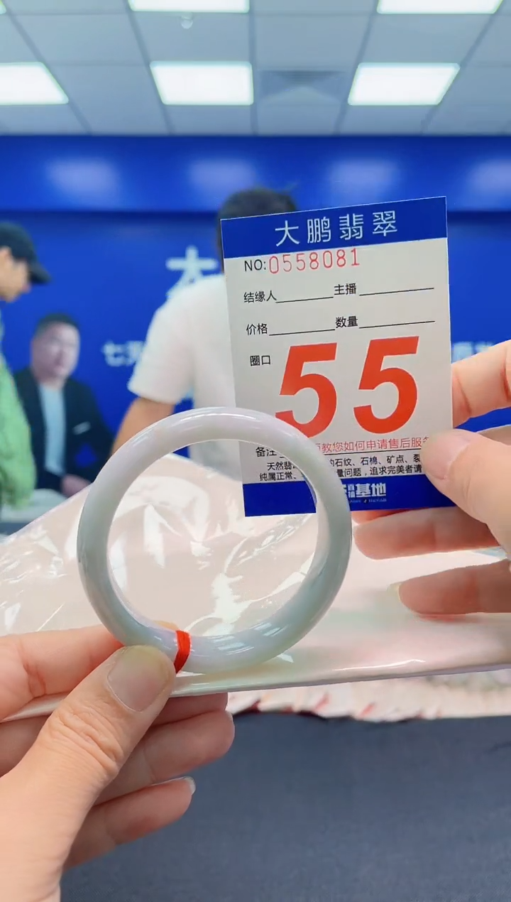 未镶嵌手镯翡翠AAAAAAAAA