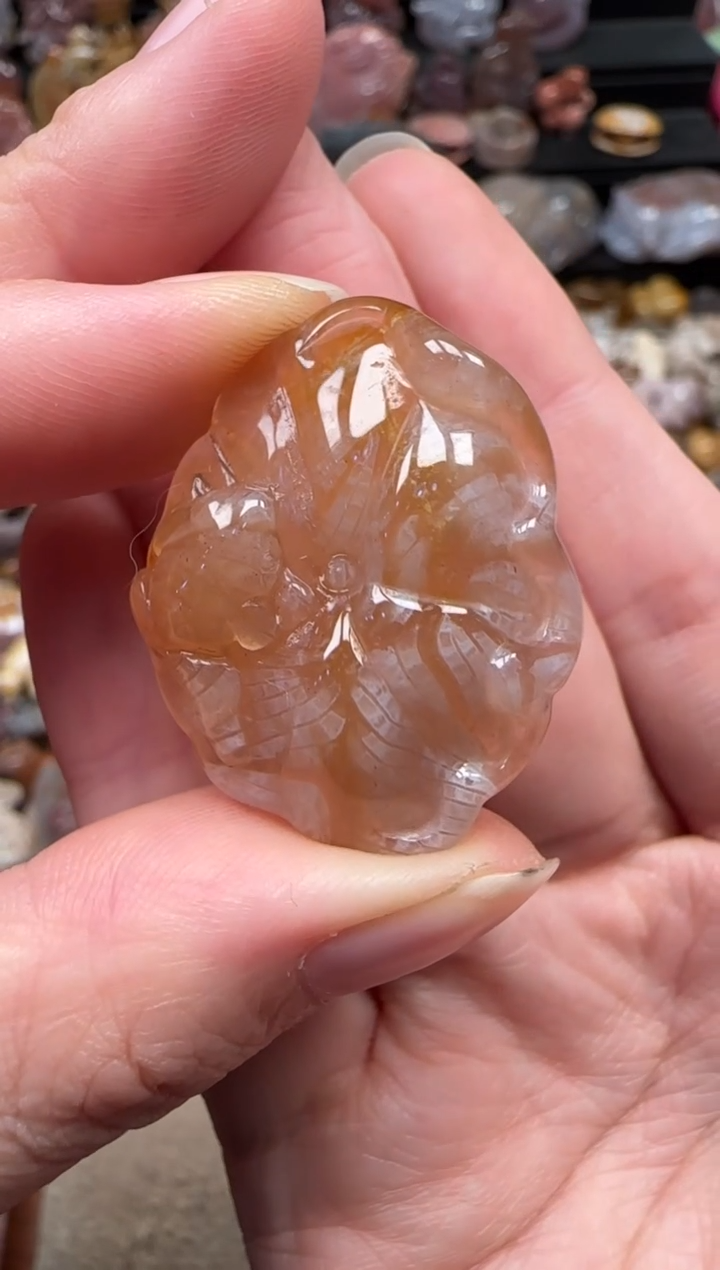 颈饰未镶嵌硅化珊瑚（珊瑚玉）420