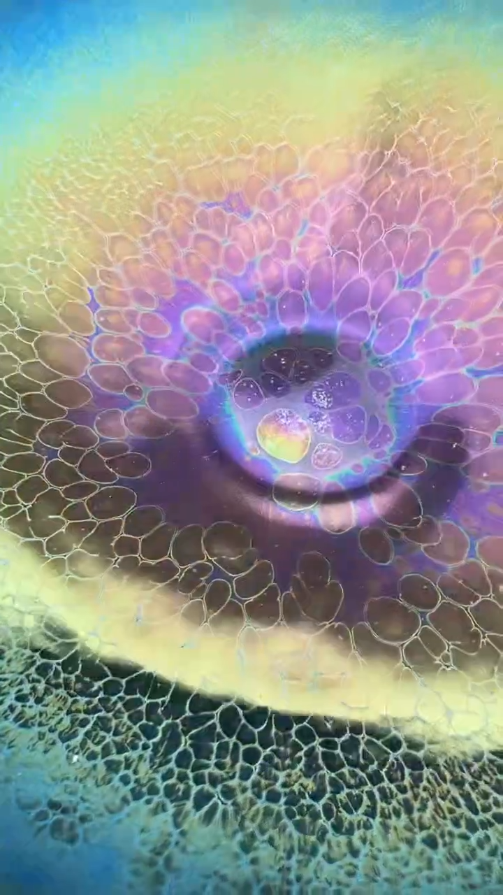 【闪购商品】茶盏名家谢贞生建盏（带证书礼盒）