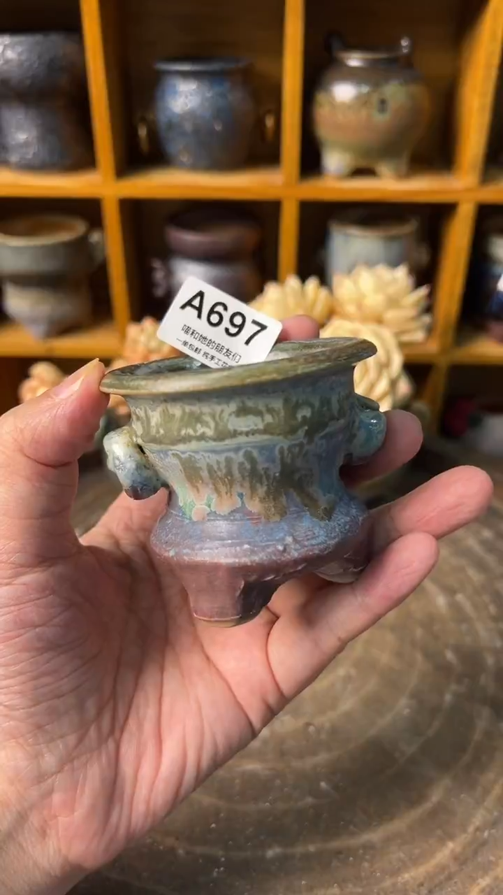 697 内口5【多肉花盆多肉盆】