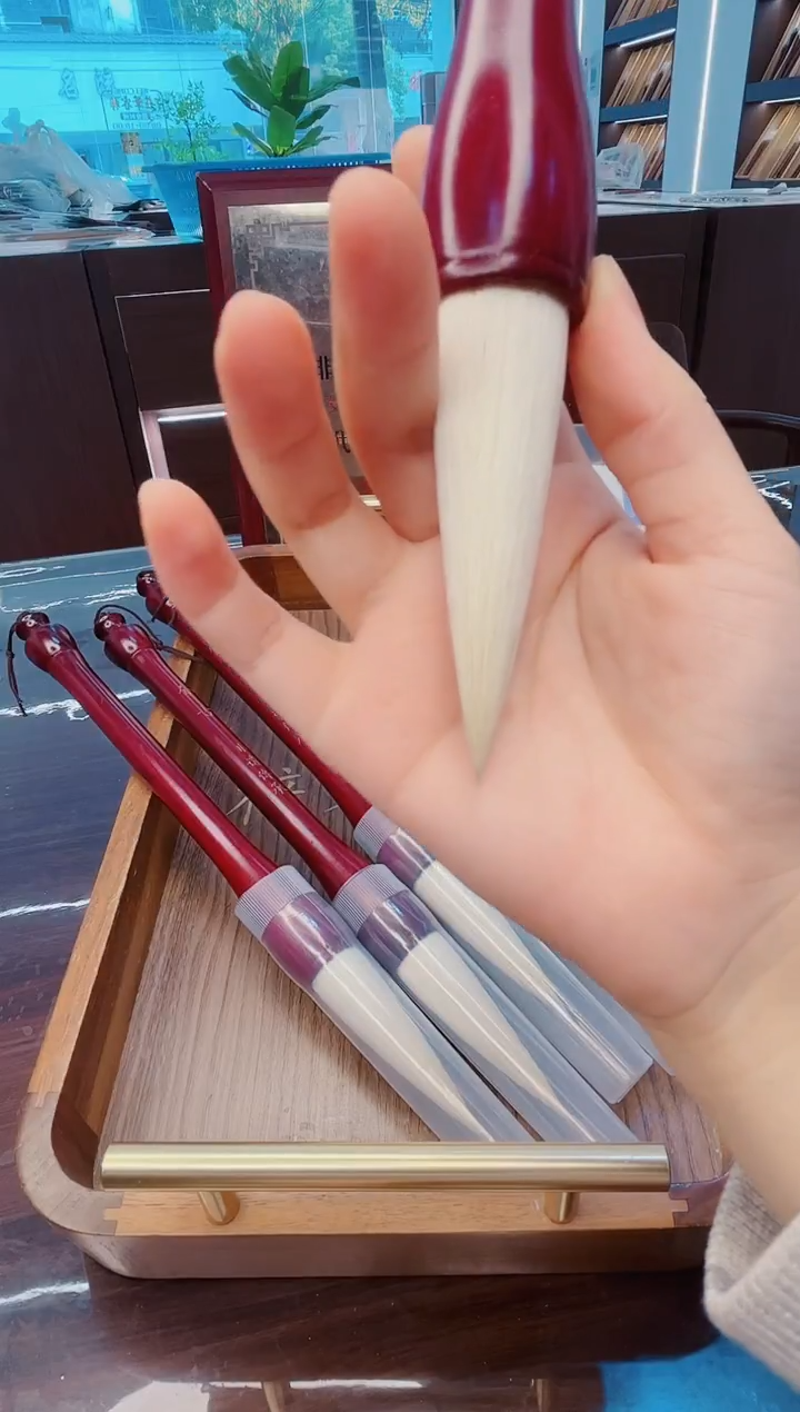 超级福利，舍古5支