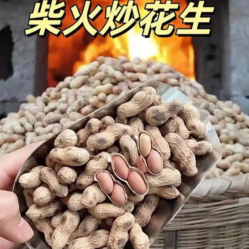 农家铁锅炒花生带壳熟原味柴火花生零食小吃休闲食品铁锅炒原味