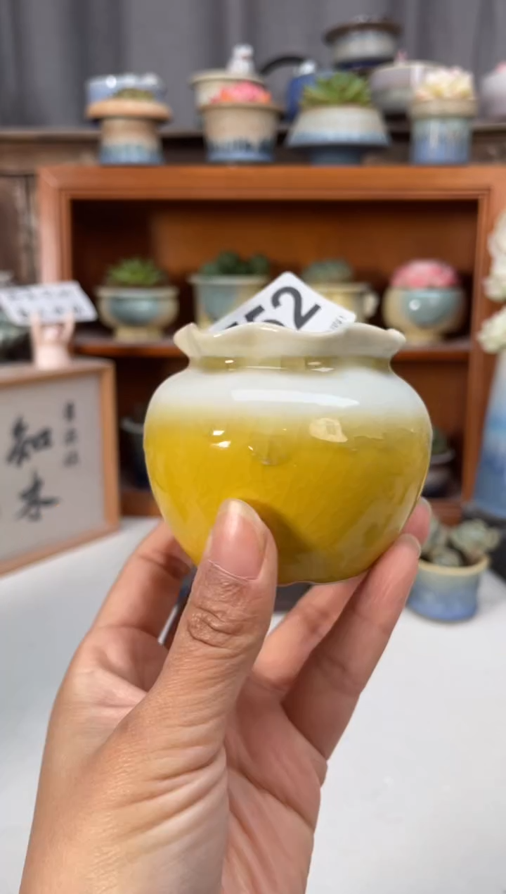 瓷片752知木小芳花盆