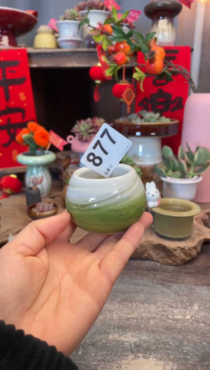 【闪购商品】摆件877知木小芳花盆