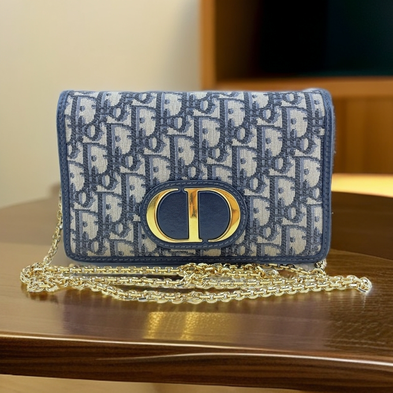 95新 DIOR/迪奥  蓝色老花单肩包  1721 2046 
